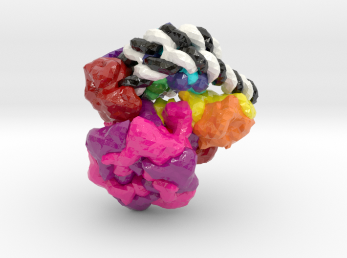 Chromatin Remodeler Nucleosome Complex (Large) 3d printed