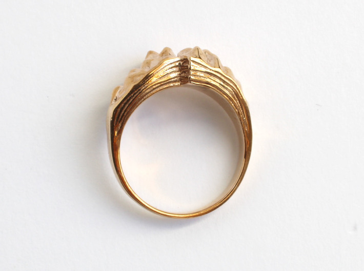 Strike Slip Fault Ring - Geology Jewelry 3d printed Strike Slip Ring in polished bronze