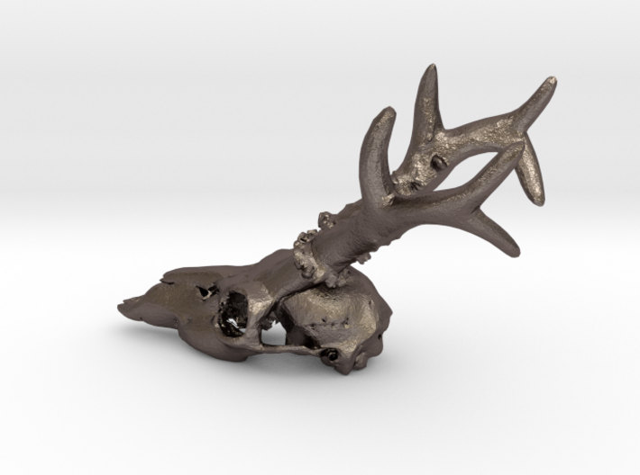 Deer head skull 3d printed