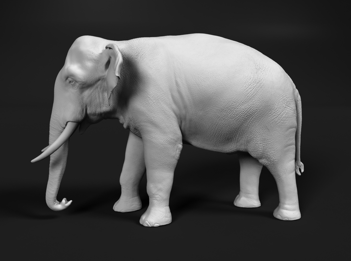 Indian Elephant 1:160 Standing Male 3d printed