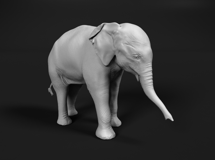 Indian Elephant 1:12 Standing Female Calf 3d printed
