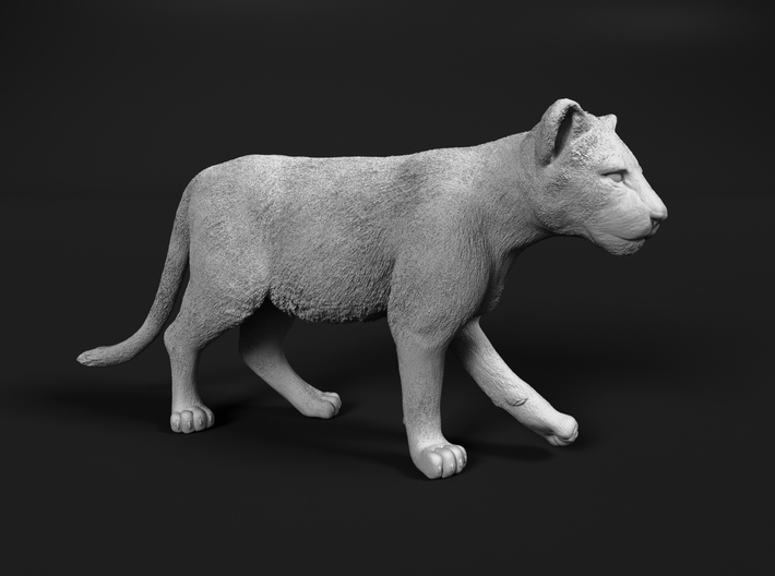 Lion 1:25 Walking Cub 3d printed 