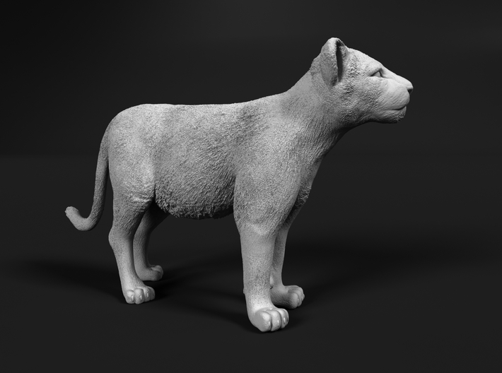Lion 1:64 Standing Cub 3d printed