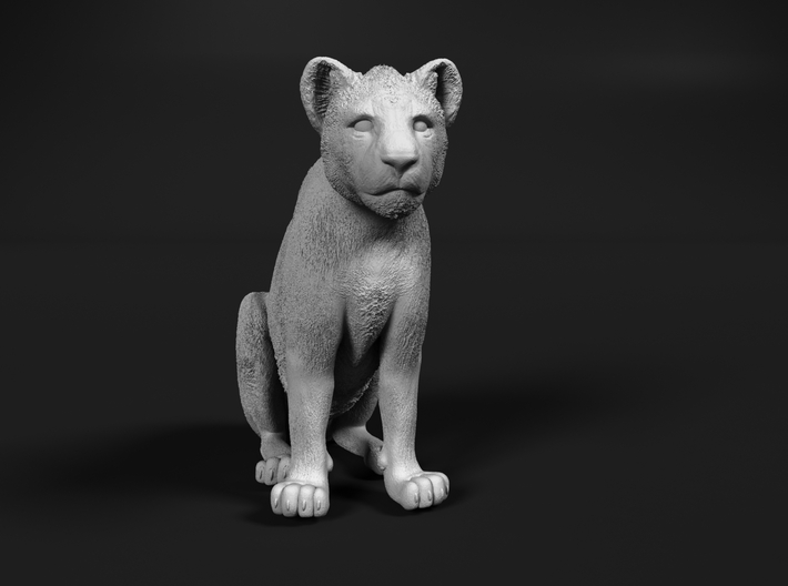 Lion 1:64 Sitting Cub 3d printed