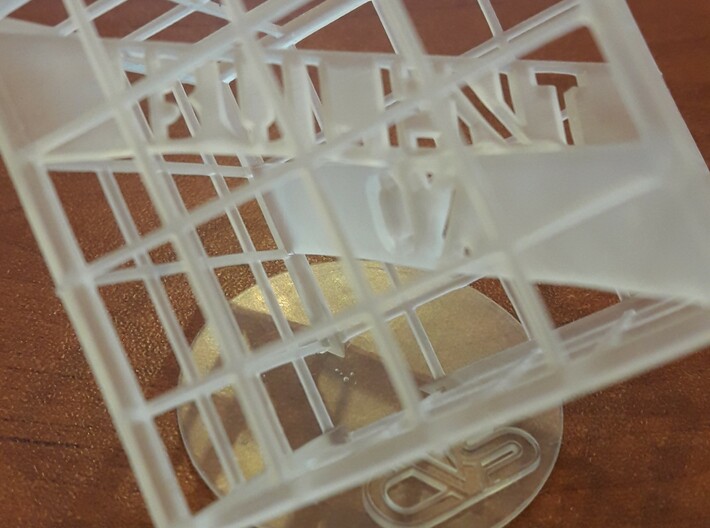 Customizable Name Plate trapped in a Lattice Cube 3d printed 