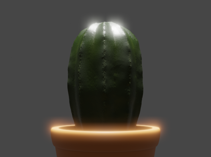 Cactus 3d printed 