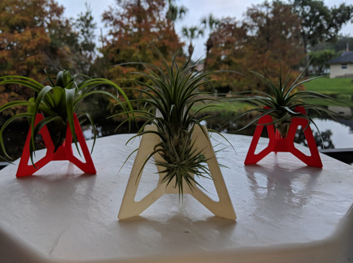 Air Plant base  3d printed 3 inch tall (Large) bases shown in white and red
