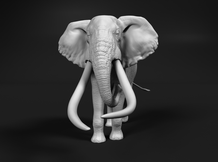 African Bush Elephant 1:25 Giant Bull 3d printed 