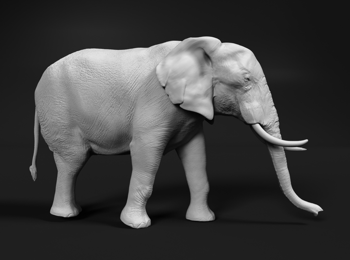 African Bush Elephant 1:12 Walking Female 3d printed 