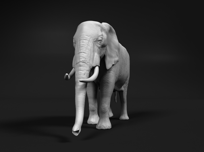 African Bush Elephant 1:72 Walking Female 3d printed 