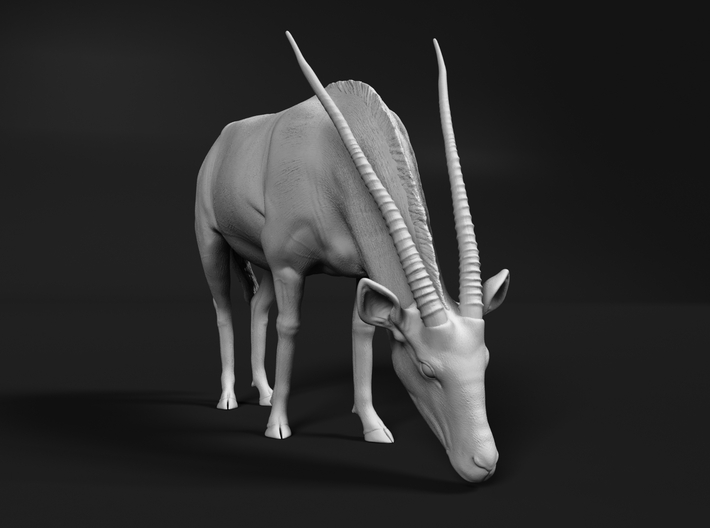 miniNature's 3D printing animals - Update May 20: Finally Hyenas and more - Page 11 710x528_26164721_14233164_1547298605