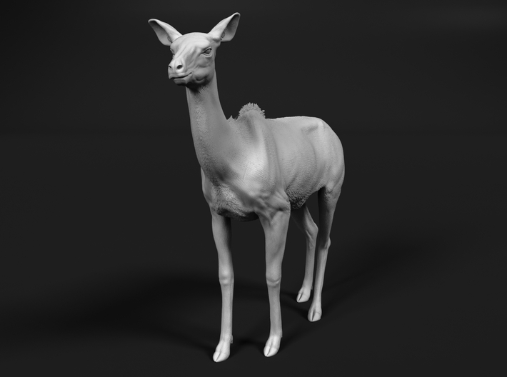 Greater Kudu 1:20 Chewing Female 3d printed 