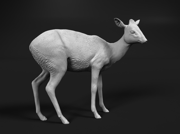 miniNature's 3D printing animals - Update May 20: Finally Hyenas and more - Page 11 710x528_26165312_14233429_1547303358