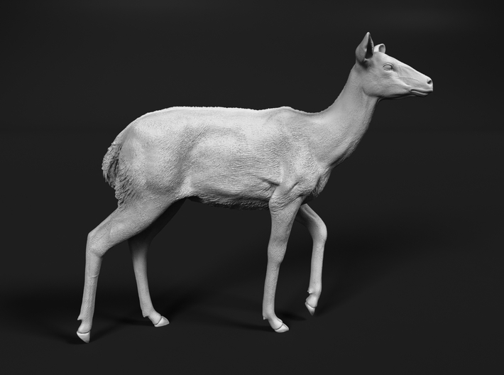 miniNature's 3D printing animals - Update May 20: Finally Hyenas and more - Page 11 710x528_26167861_14234362_1547316614