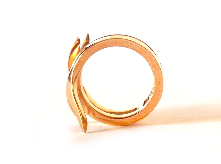 TAILS ring 3d printed Polished Bronze