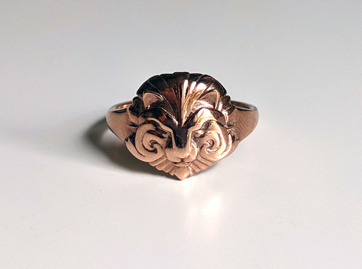 Ring of Courage 3d printed 