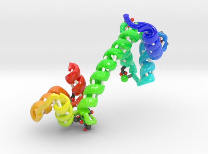 Calmodulin Complexed with Ca+2 (Large) 3d printed