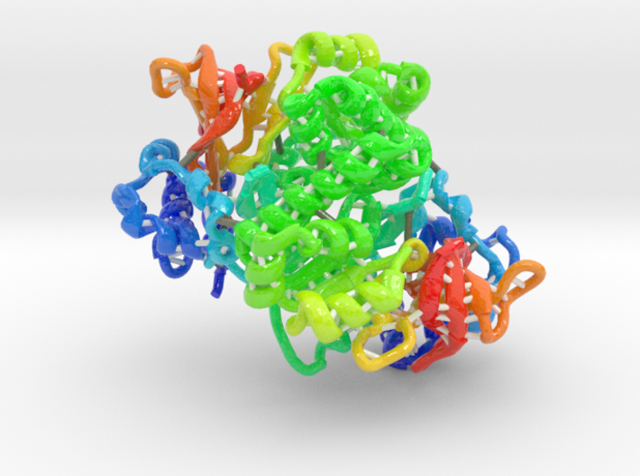 Phenazine Antibiotic Biosynthesis Protein (Large) 3d printed