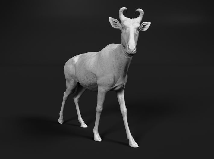 miniNature's 3D printing animals - Update May 20: Finally Hyenas and more - Page 12 710x528_27569867_14914271_1557615894