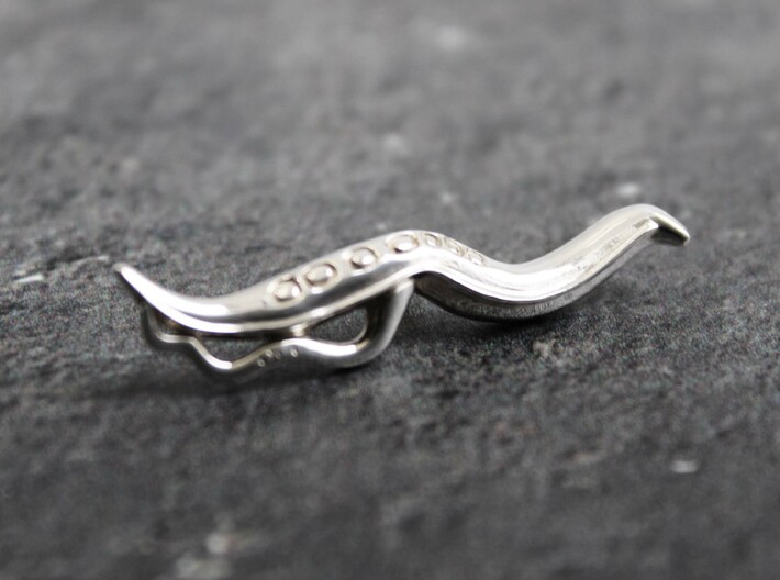 C. elegans Nematode Worm Lapel Pin/Brooch 3d printed Caenorhabditis lapel pin/brooch in polished silver