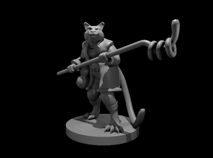 Tubby Tabaxi Male Monk 3d printed