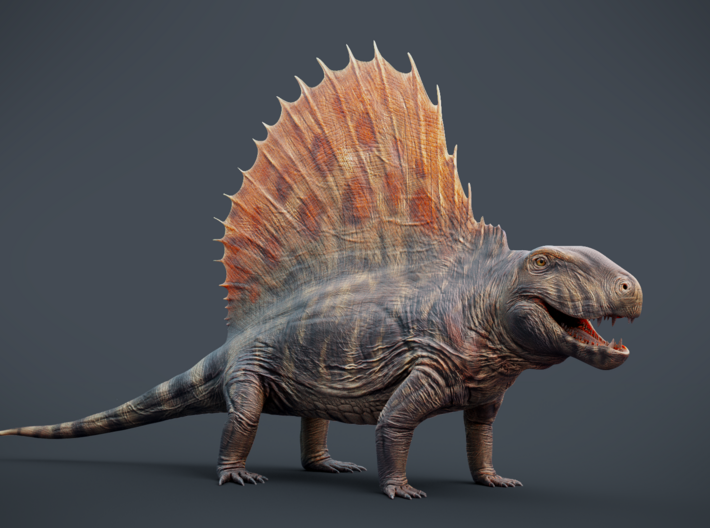 Dimetrodon 1/25 Scale Model 3d printed textured render (texture not included in print)