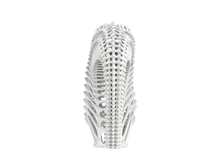 Seahorse Shoes Women's US Size 13 3d printed 