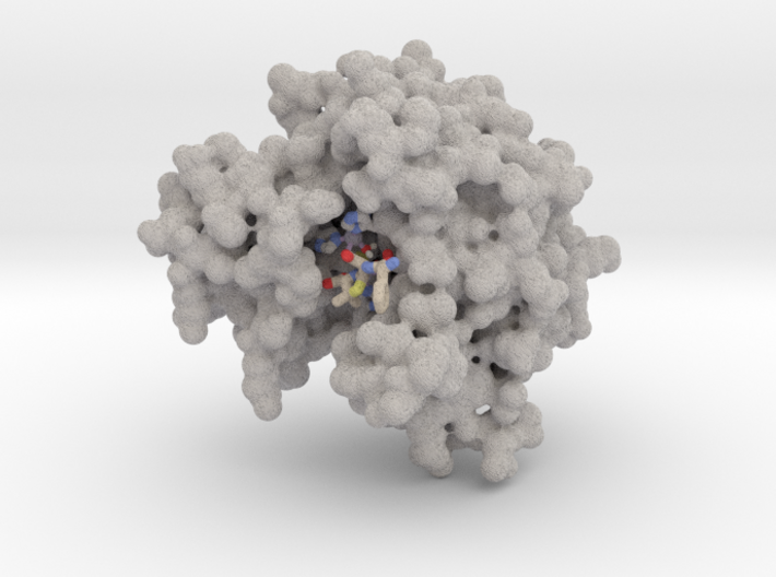 New Delhi Metallo Beta-Lactamase (NDM-1) 3d printed