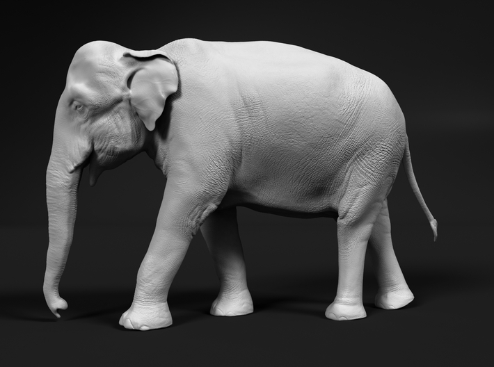 miniNature's 3D printing animals - Update May 20: Finally Hyenas and more - Page 13 710x528_29072788_15605582_1569105470