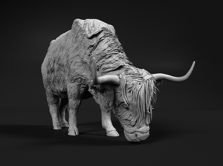 Highland Cattle 1:45 Grazing Female 1 3d printed