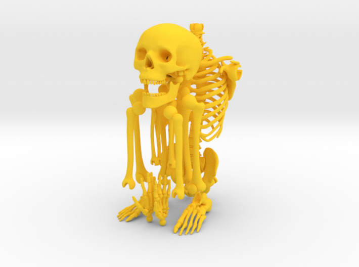 Mr Bones -- Articulated Skeleton 3d printed