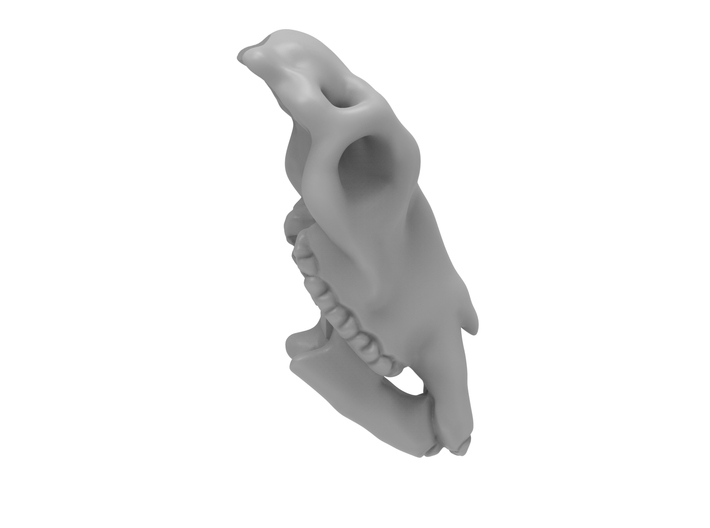 Horse Skull Face Plate 3d printed