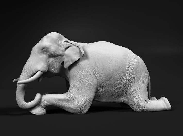 Indian Elephant 1:56 Kneeling Male 3d printed