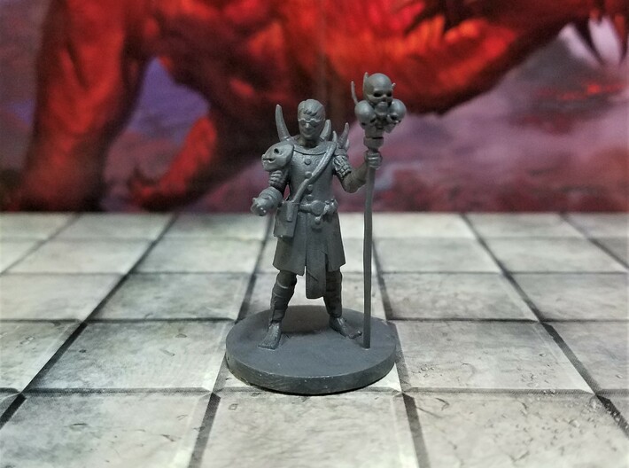 Human Warlock with Skull Staff 3d printed