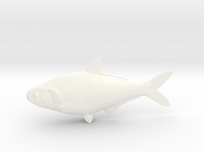 Gizzard Shad 150mm (5.9&quot;) 3d printed