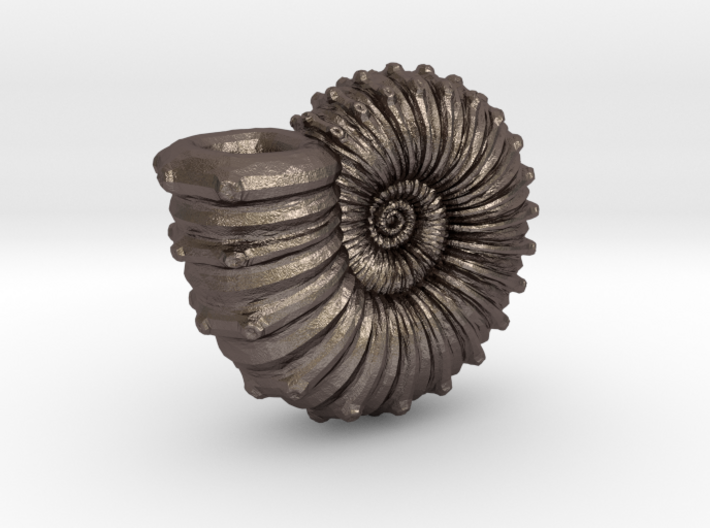 Ammonite 3d printed