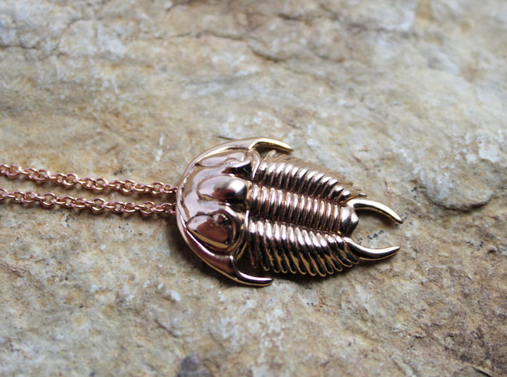 Tricrepicephalus Trilobite Pendant 3d printed Tricrepicephalus Trilobite pendant in polished bronze