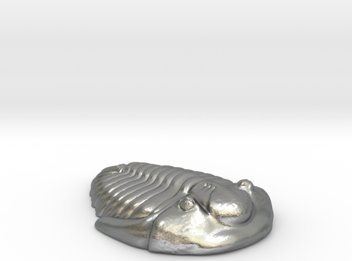 Triolobite Fossil 3d printed