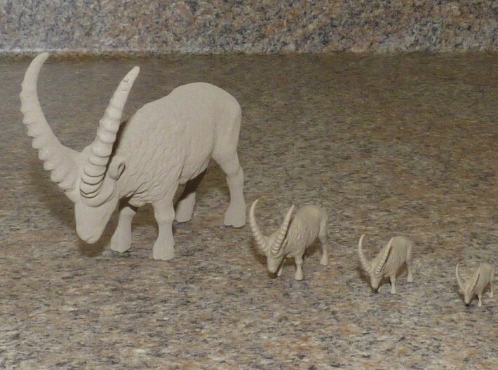 African Antelope Grazing 3d printed 