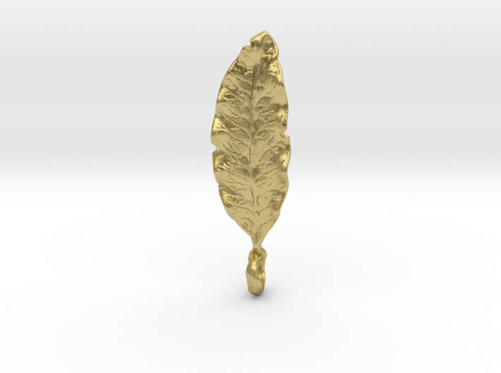 Lemonwood Leaf Pendant 3d printed