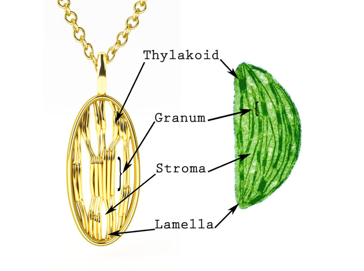 Chloroplast Pendant - Science Jewelry 3d printed 