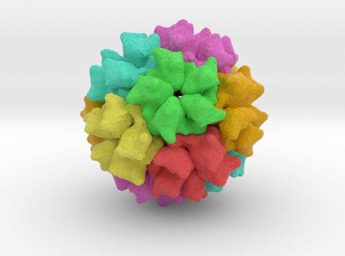 Human Endogenous Retrovirus (HML2) 3d printed