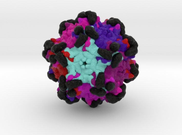 Adeno-Associated Virus in complex with AAVR 3d printed