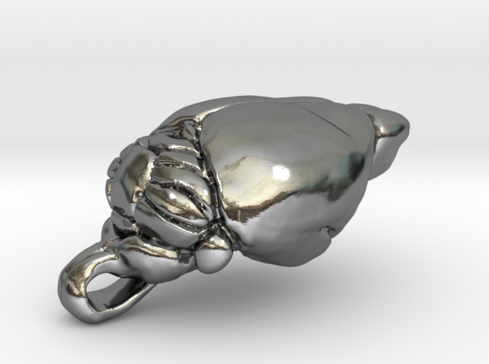 Mouse Brain Pendant (1:1, anatom. accurate) 3d printed