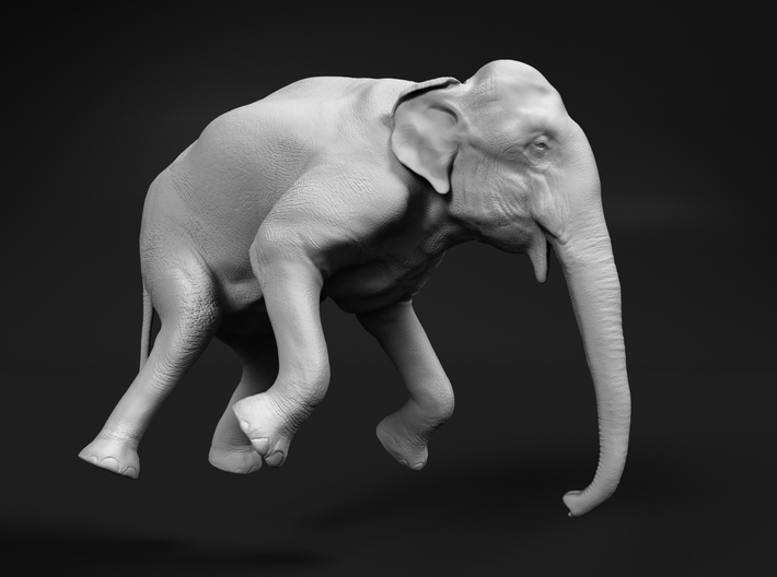 Indian Elephant 1:120 Female Hanging in Crane 3d printed