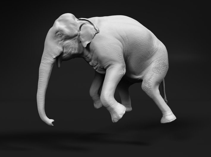 Indian Elephant 1:35 Female Hanging in Crane 3d printed 