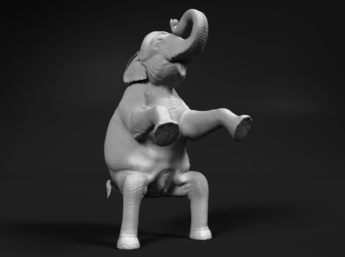 Indian Elephant 1:96 Sitting Female 3d printed 