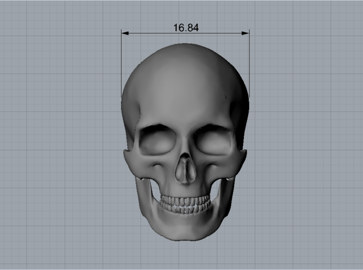 skull 1:8 26 mm 3d printed 