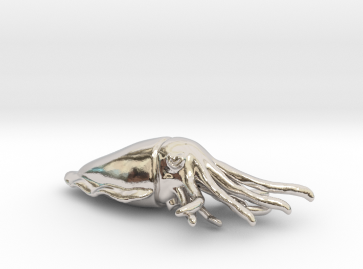 Cuttlefish Pendant or Brooch 3d printed
