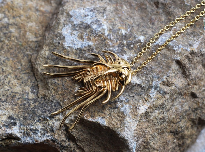 Dicranurus Trilobite Pendant - Paleontology  3d printed Dicranurus Trilobite in 14K gold plated brass